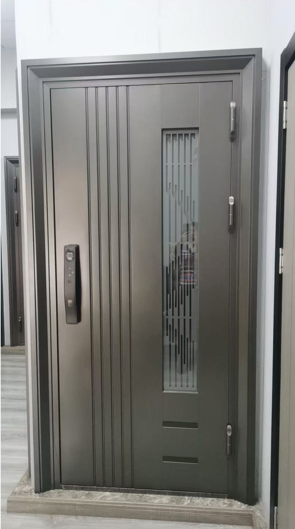 MZM1010